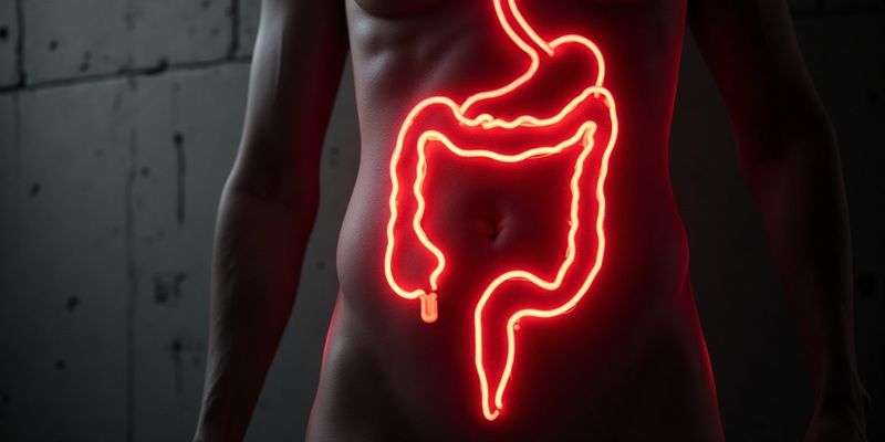 les aliments à éviter en cas de dolichocôlon